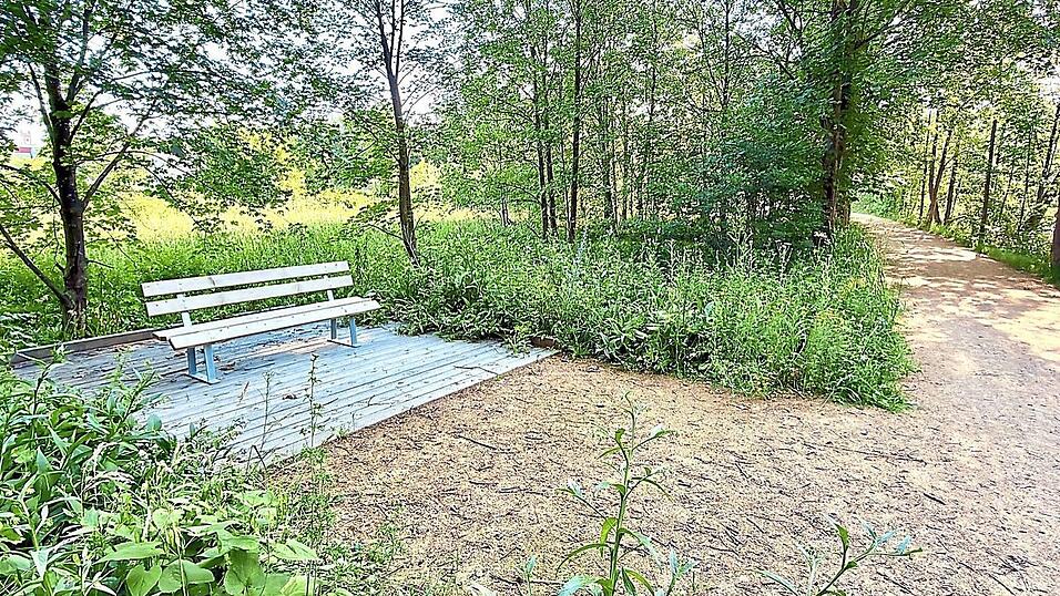 Auf den f&uuml;nf Holzpodesten entlang des Schwanenweges werden Ruheb&auml;nke platziert. Bei der Bank auf dem Foto handelt es sich um einen vor&uuml;bergehende L&ouml;sung, bis die neuen Sitzgelegenheiten vorhanden sind.