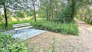 Auf den f&uuml;nf Holzpodesten entlang des Schwanenweges werden Ruheb&auml;nke platziert. Bei der Bank auf dem Foto handelt es sich um einen vor&uuml;bergehende L&ouml;sung, bis die neuen Sitzgelegenheiten vorhanden sind.