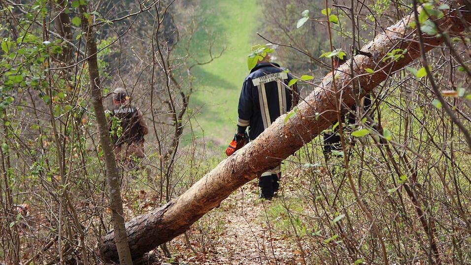 Der 45-jährige Fahrer eines Traktors kam bei Holzfällarbeiten ums Leben. Der 45-jährige Fahrer eines Traktors kam bei Holzfällarbeiten ums Leben.