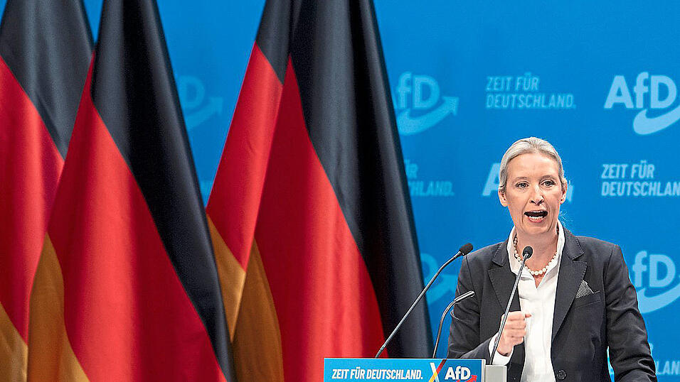 AfD-Co-Chefin Alice Weidel ist Kanzlerkandidatin ihrer Partei. In ihrer Rede spricht sie sich klar f&uuml;r Remigrationspl&auml;ne aus.