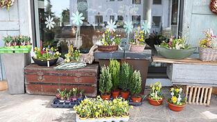 Die Blumen und farbenfrohen Gestecke bringen den Frühling in Haus und Garten.