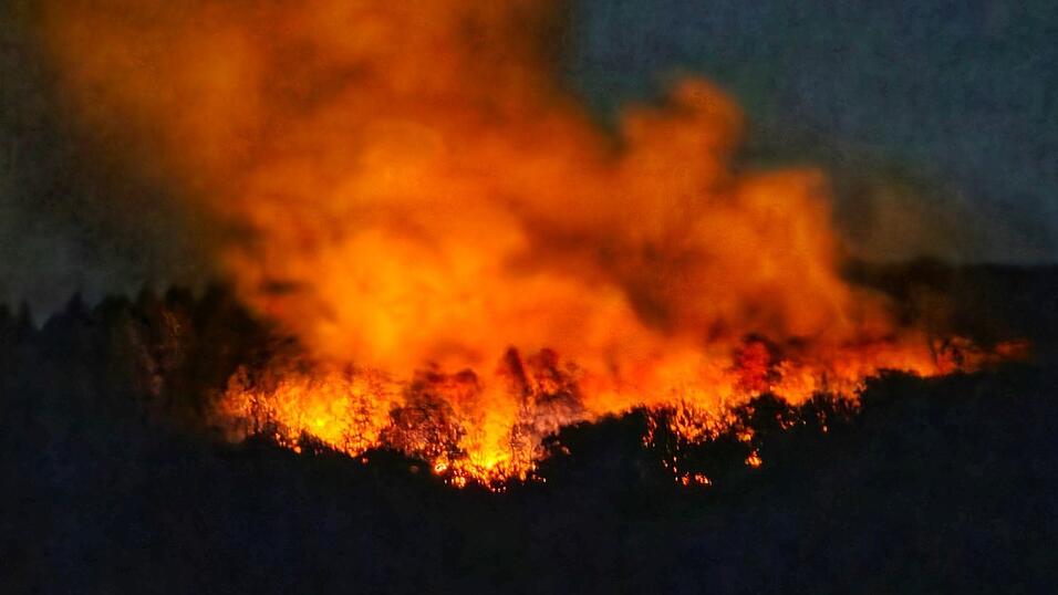In der Nacht brannte es lichterloh in dem Waldgebiet in Rheinland-Pfalz.