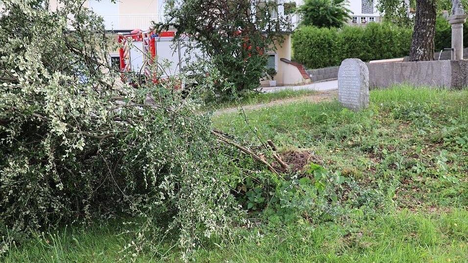 Das Fahrzeug konnte nur schwer geborgen werden. Das Fahrzeug konnte nur schwer geborgen werden.