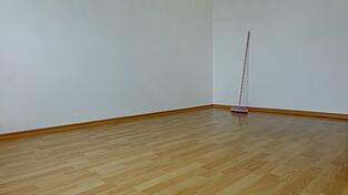 Soviel stand fest: Besenrein wurde die Wohnung, um die es am Amtsgericht ging, nicht übergeben. (Symbolbild) Soviel stand fest: Besenrein wurde die Wohnung, um die es am Amtsgericht ging, nicht übergeben. (Symbolbild)
