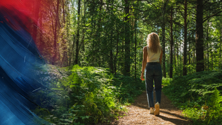 Ein Spaziergang kann positiv dazu beitragen, Gedanken zu sortieren. Ein Spaziergang kann positiv dazu beitragen, Gedanken zu sortieren.