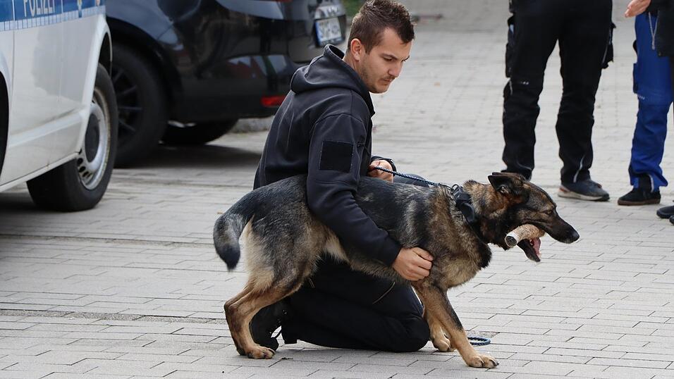 Sprengstoffsuchhunde im Einsatz.