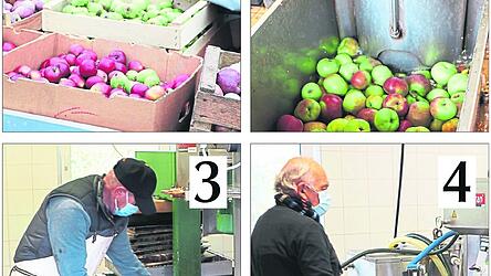 Der Lieferant bringt sein Obst mit dem Auto oder Hänger (oben links) und schüttet es in einen Trichter. Eine Maschine reinigt das Obst und must es, zerteilt es also in kleine Stücke (oben rechts). Das zerkleinerte Obst wird in mehreren Lagen auf Netzen verteilt (unten links) - und mit hydraulischem Druck ausgequetscht. Grober Richtwert: Aus einem Zentner lassen sich 30 Liter gewinnen. Der Saft rinnt in Edelstahlbehälter. Der Presswart erhitzt den Saft auf rund 80 Grad, um ihn haltbar zu machen, und füllt ihn dann ab (unten rechts).