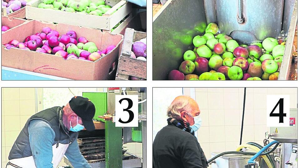 Der Lieferant bringt sein Obst mit dem Auto oder Hänger (oben links) und schüttet es in einen Trichter. Eine Maschine reinigt das Obst und must es, zerteilt es also in kleine Stücke (oben rechts). Das zerkleinerte Obst wird in mehreren Lagen auf Netzen verteilt (unten links) - und mit hydraulischem Druck ausgequetscht. Grober Richtwert: Aus einem Zentner lassen sich 30 Liter gewinnen. Der Saft rinnt in Edelstahlbehälter. Der Presswart erhitzt den Saft auf rund 80 Grad, um ihn haltbar zu machen, und füllt ihn dann ab (unten rechts).