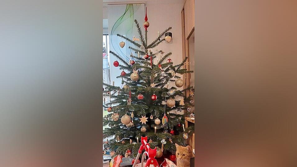 Alter und neuer Schmuck vor Katze