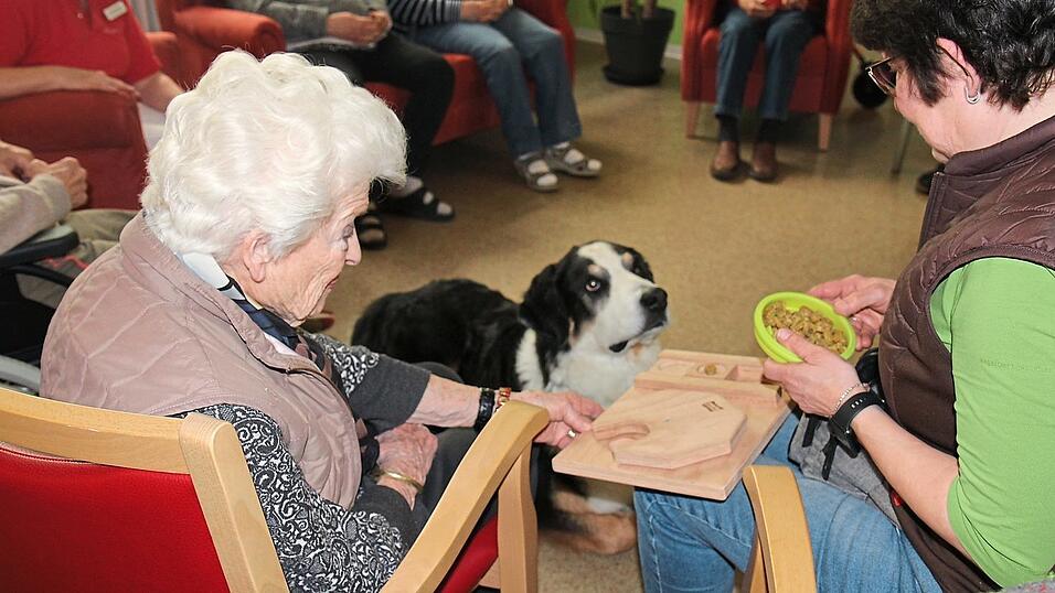 'T&uuml;r&ouml;ffner in andere Welten', so beschreibt eine Ehrenamtliche den Hundebesuchsdienst im Seniorenheim. Ehrenamt ist vielf&auml;ltig.