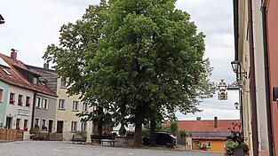 In der Regel ist der Schlossplatz in Furth ein k&uuml;hles Pl&auml;tzchen. Aber was, wenn auch der nicht mehr ausreicht?