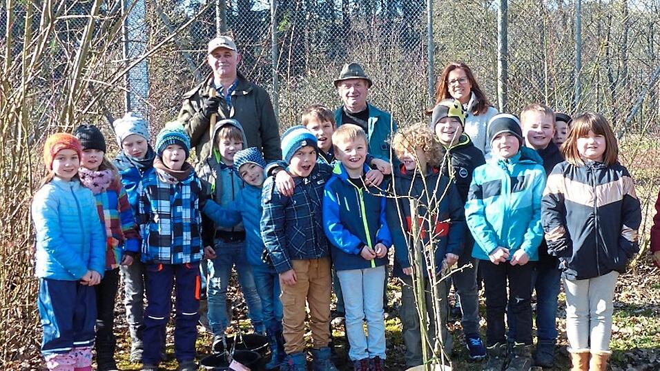 Im früheren Schulgarten, der jetzt als Baumschule dient, dürfen sich die kleinen Bäumchen entwickeln. Hier die Zweitklässler mit Franz Bornschlegl, Johann Aumer und Lehrerin Frau Beiderbeck. Im früheren Schulgarten, der jetzt als Baumschule dient, dürfen sich die kleinen Bäumchen entwickeln. Hier die Zweitklässler mit Franz Bornschlegl, Johann Aumer und Lehrerin Frau Beiderbeck.