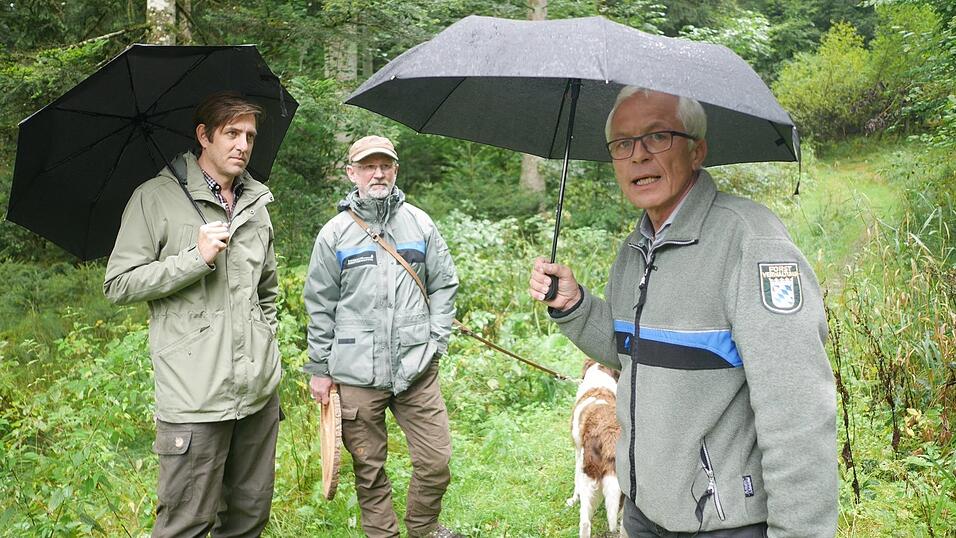 Rufen Waldbesitzer zum raschen Handeln auf: (v. r.) Walter Schubach, Förster Christian Kilger und Wolfgang Meierhofer von der Waldbauernvereinigung. Rufen Waldbesitzer zum raschen Handeln auf: (v. r.) Walter Schubach, Förster Christian Kilger und Wolfgang Meierhofer von der Waldbauernvereinigung.