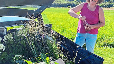 Bei so vielen Pflanzenschätzen lacht das Gärtnerherz.