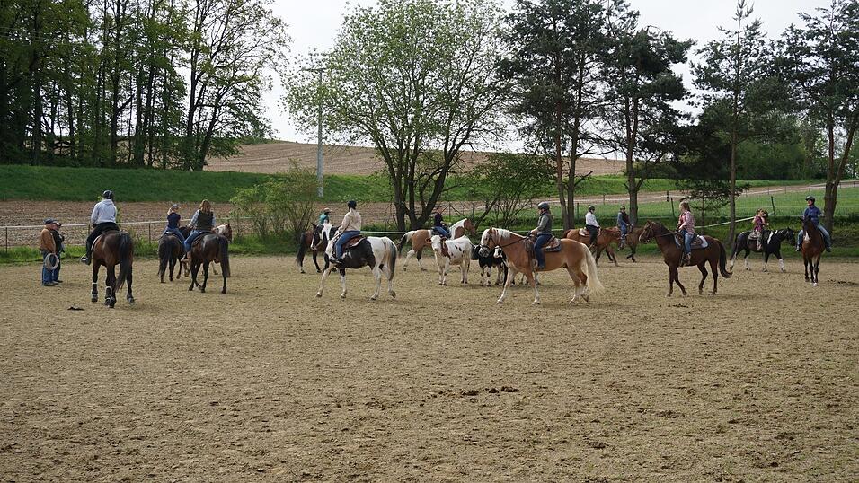 Teamarbeit und Pr&auml;zision sind bei der Arbeit mit Rindern gefragt.