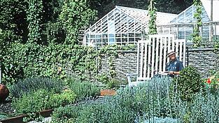 Ein kleines Paradies, das Blumen-, Obst- und Gemüsegarten zugleich ist. Ein kleines Paradies, das Blumen-, Obst- und Gemüsegarten zugleich ist.