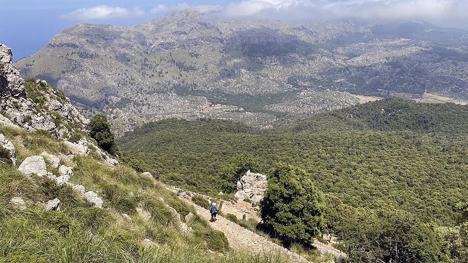 Ein deutscher Wanderer ist auf Mallorca in den Tod gest&uuml;rzt.