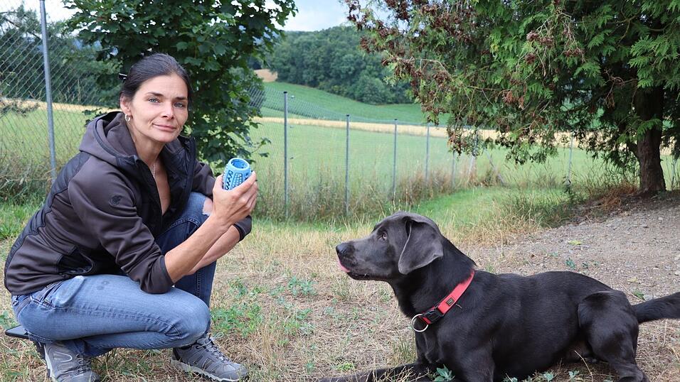 Catrin R&ouml;hricht spielt eine Runde mit Floki - auch er sucht noch ein neues Zuhause. &bdquo;Ein kleiner Spinner&ldquo;, sagt R&ouml;hricht. Aber ein Lieber.