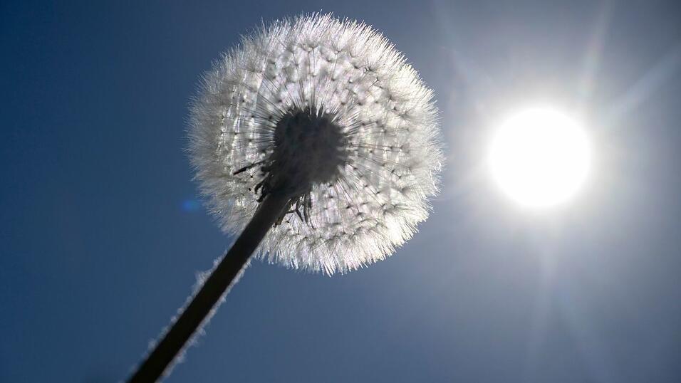 Sonne satt ist f&uuml;r die kommenden Tage in Bayern angek&uuml;ndigt. (Archivbild)