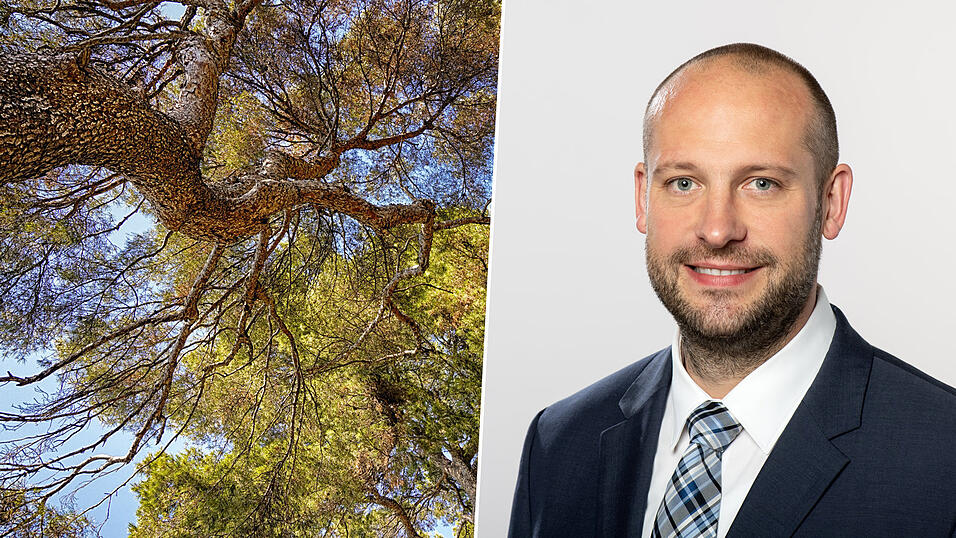 Prof. Dr. Sebastian Goerg lehrt zur wirtschaftlichen Seite von Nachhaltigkeit, etwa zum CO₂-Preis. Er forscht zum Verhalten von Menschen, unter anderem zu Anreizen für Klimaschutz.