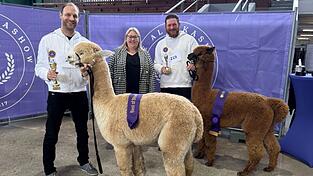 Das Team von Sun Star Alpakas aus Trefling war mit19 Tieren in Krefeld und holte zahlreiche Titel.