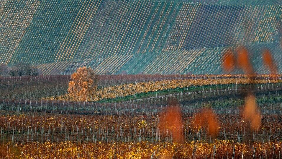 Der Donnerstag dürfte vielerorts sonnig werden. (Archivbild)