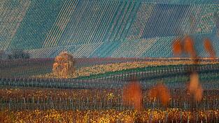 Der Donnerstag dürfte vielerorts sonnig werden. (Archivbild)