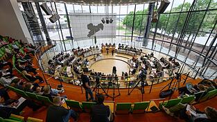 Der Gr&uuml;nen-Antrag zur Unterst&uuml;tzung kleiner Schlachtbetriebe bekam am Mittwochabend nur mit Hilfe von AfD und BSW eine Mehrheit. (Archivbild)