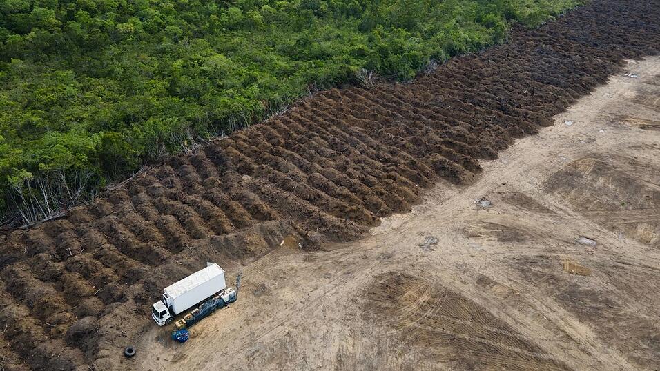 Im brasilianischen Amazonasgebiet sind seit 1985 rund 52 Millionen Hektar Natur verloren gegangen – eine Fläche größer als Spanien. (Archivbild)
