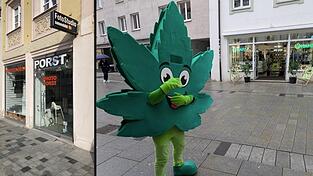 In die ehemalige Photo Porst-Filiale in Straubing wird ein Laden von hanf.com er&ouml;ffnen. Zur Er&ouml;ffnung wird auch Masskottchen &bdquo;Hanfi&ldquo; (re.) vor Ort sein.