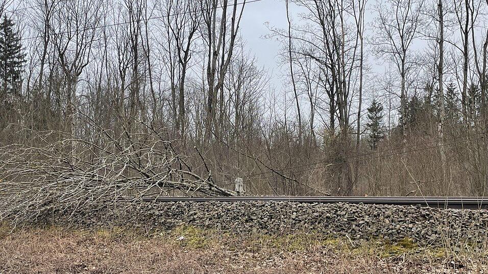 Bei Baumfällarbeiten bei Marzling fiel am Freitag ein Baum auf die Gleise.