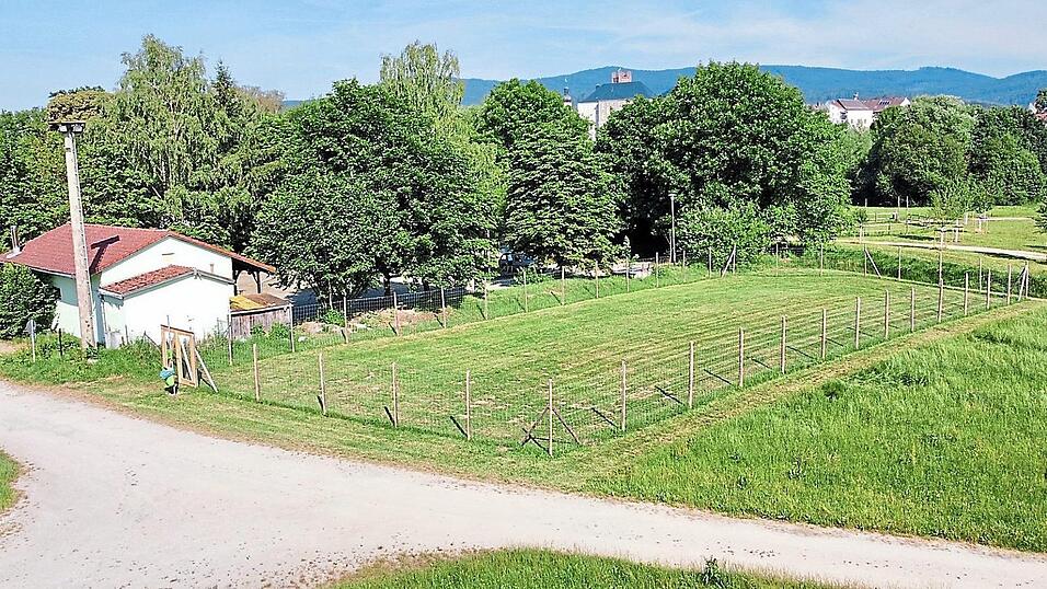 Die umzäunte Wiese kann von allen Hundebesitzern kostenlos genutzt werden. Die umzäunte Wiese kann von allen Hundebesitzern kostenlos genutzt werden.