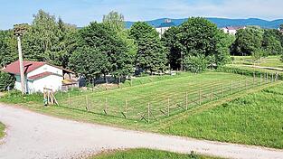 Die umzäunte Wiese kann von allen Hundebesitzern kostenlos genutzt werden. Die umzäunte Wiese kann von allen Hundebesitzern kostenlos genutzt werden.
