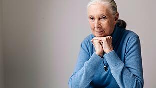 Die berühmte Schimpansenforscherin Jane Goodall ist im Alter von 91 Jahren gestorben. (Archivbild)