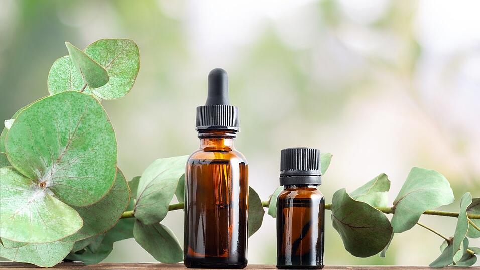 Auch Eukalyptus hat viele verschiedene Wirkungsweisen und kann uns im Alltag helfen.