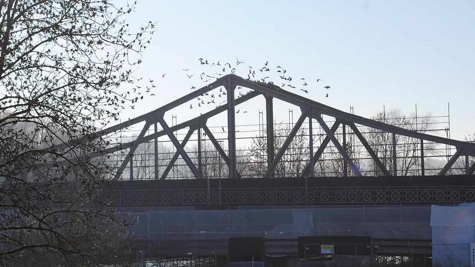 Ma&szlig;nahmen zur Vertreibung der Tauben sind derzeit nicht geplant.