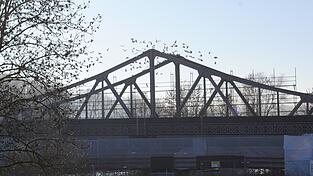 Ma&szlig;nahmen zur Vertreibung der Tauben sind derzeit nicht geplant.