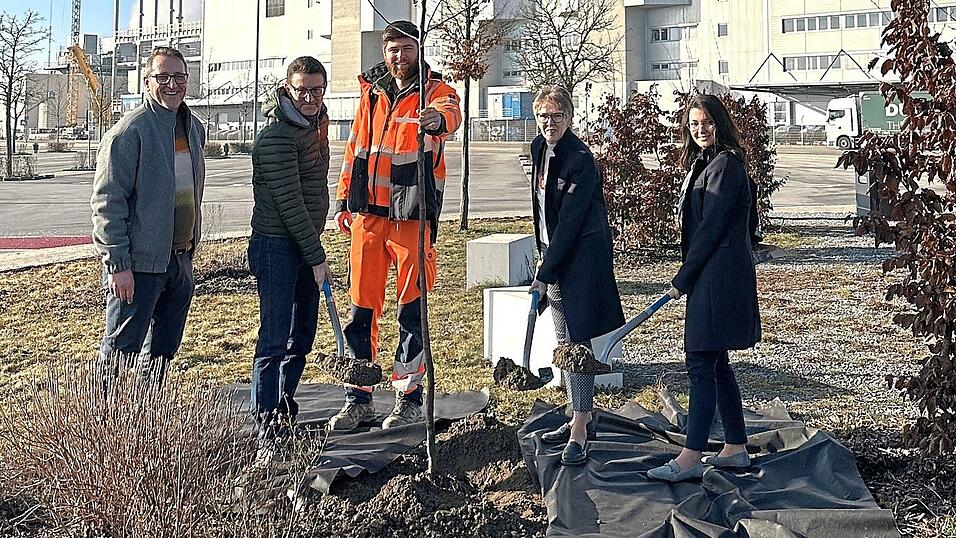 Bürgermeisterin Maria Huber (Zweite von rechts), Julian Friedrich (Zweiter von links), Leiter Kommunikation BMW Group Werke Ostbayern, Jubiläumsbeauftragte Tina Stahl (rechts), Facility Manager BMW Group Werk Dingolfing, Werner Kaiser (links) und Stadtgärtner Christoph Aigner setzen gemeinsam den ersten von 20 Jubiläums-Obstbäumen auf dem Gelände des BMW Group Werks. Bürgermeisterin Maria Huber (Zweite von rechts), Julian Friedrich (Zweiter von links), Leiter Kommunikation BMW Group Werke Ostbayern, Jubiläumsbeauftragte Tina Stahl (rechts), Facility Manager BMW Group Werk Dingolfing, Werner Kaiser (links) und Stadtgärtner Christoph Aigner setzen gemeinsam den ersten von 20 Jubiläums-Obstbäumen auf dem Gelände des BMW Group Werks.