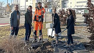 B&uuml;rgermeisterin Maria Huber (Zweite von rechts), Julian Friedrich (Zweiter von links), Leiter Kommunikation BMW Group Werke Ostbayern, Jubil&auml;umsbeauftragte Tina Stahl (rechts), Facility Manager BMW Group Werk Dingolfing, Werner Kaiser (links) und Stadtg&auml;rtner Christoph Aigner setzen gemeinsam den ersten von 20 Jubil&auml;ums-Obstb&auml;umen auf dem Gel&auml;nde des BMW Group Werks.