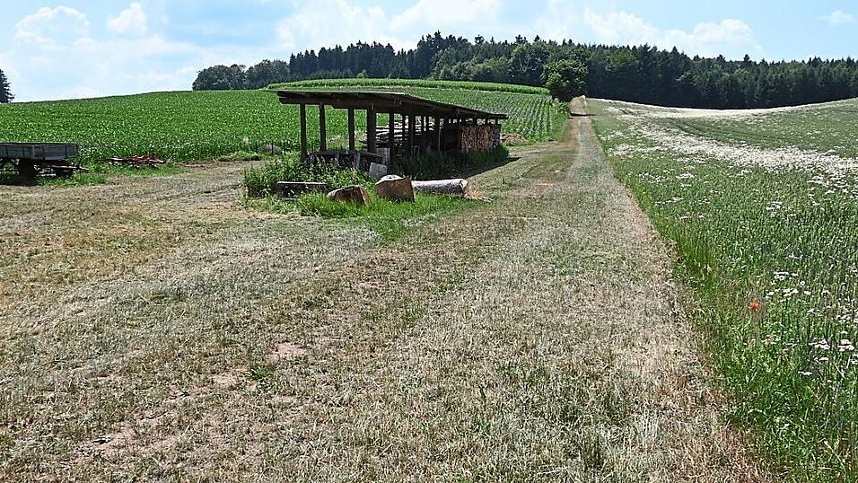 Hier in P&ouml;benhausen soll das erste der vier R&uuml;ckhaltebecken entstehen.