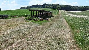 Hier in P&ouml;benhausen soll das erste der vier R&uuml;ckhaltebecken entstehen.