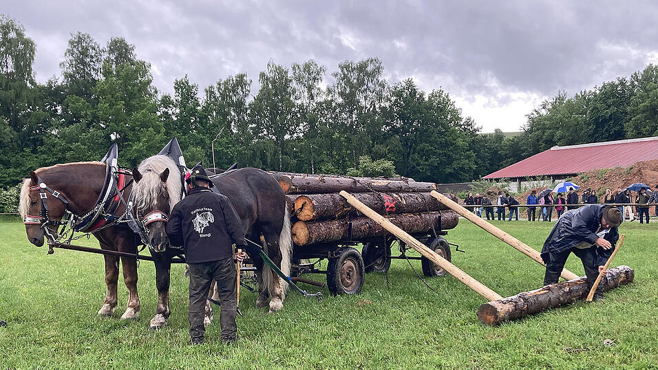 Das traditionelle Beladen eines Baumwagens zeigten Siegfried Stangl und Alfons Schweikl. Das traditionelle Beladen eines Baumwagens zeigten Siegfried Stangl und Alfons Schweikl.