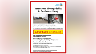 Das Fahndungsplakat ist veröffentlicht worden, um die flüchtigen Täter zu ermitteln. 