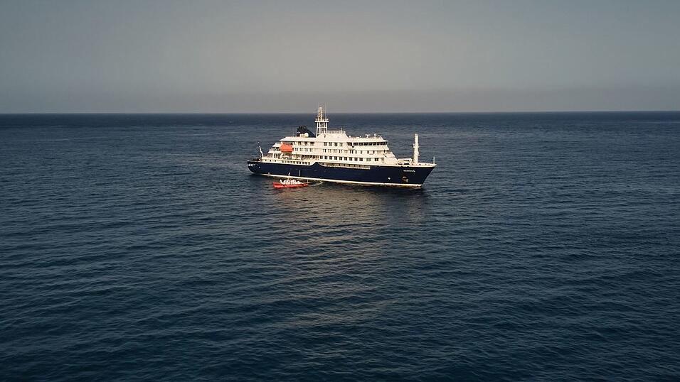 Bei Passagieren des niederl&auml;ndischen Kreuzfahrtschiffs &laquo;Hondius&raquo; wurden spezifische Hantaviren nachgewiesen.