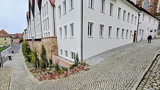 Schön präsentiert sich der neue Aufgang zum Kalvarienberg mit dem imposanten Grünstreifen.