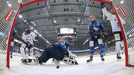 Elis Hede (links) eröffnete früh mit einem Rebound in der sechsten Minute den Torreigen zum 1:0 der Tigers in Dresden, Wade Allison (rechts) jubelt.