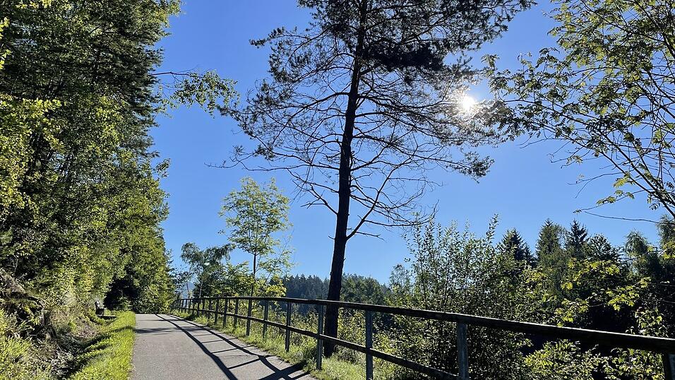 'So einen Radweg br&auml;uchten wir in Viechtach zus&auml;tzlich zum Regentalradweg', findet unsere Autorin Marika Hartl.