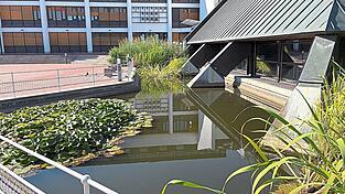 Kein Dummer-Jungen-Streich: In der Nacht von Montag auf Dienstag leitete ein Unbekannter Wasser aus dem Teich vor dem Landratsamt &uuml;ber einen Kellerschacht ins Geb&auml;ude.