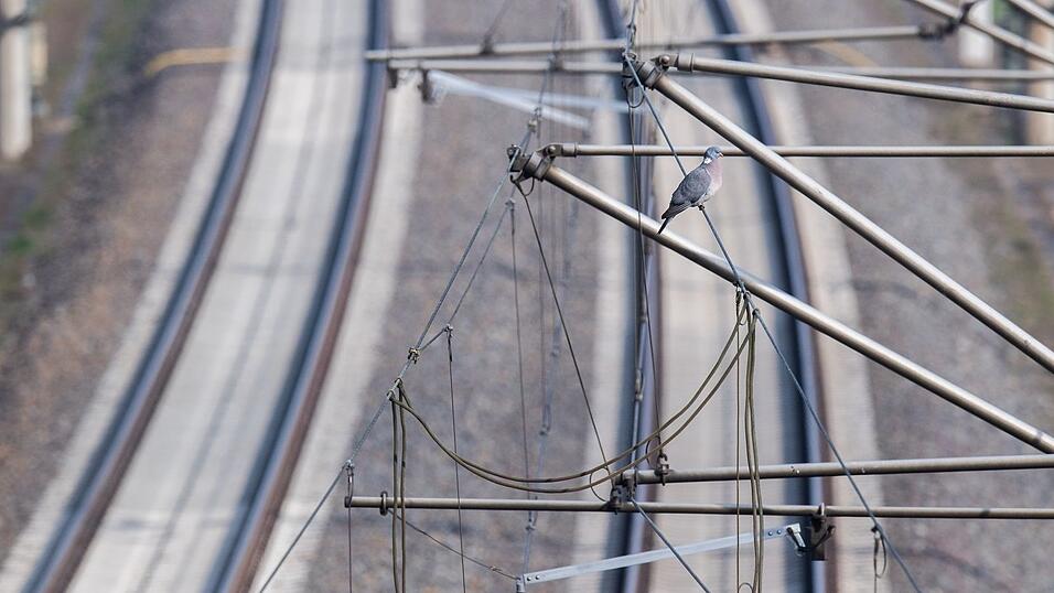 Fernz&uuml;ge zwischen Berlin und NRW &uuml;ber Hannover brauchen ab Oktober f&uuml;r rund 14 Monate rund 80 Minuten l&auml;nger. (Archivbild)