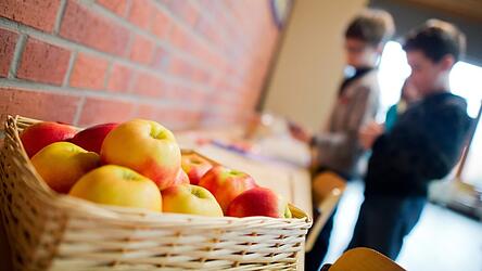 Weil der Freistaat Bayern weniger Gelder in das EU-Schulfruchtprogramm pumpt und die Anzahl der Lieferwochen ziemlich unvermittelt um ein Drittel herabgesenkt hat, müssen auch die teilnehmenden Schulen und Kindergärten in der Region auf ihre bis dato gewohnte Menge an gesundem Obst und Gemüse verzichten.